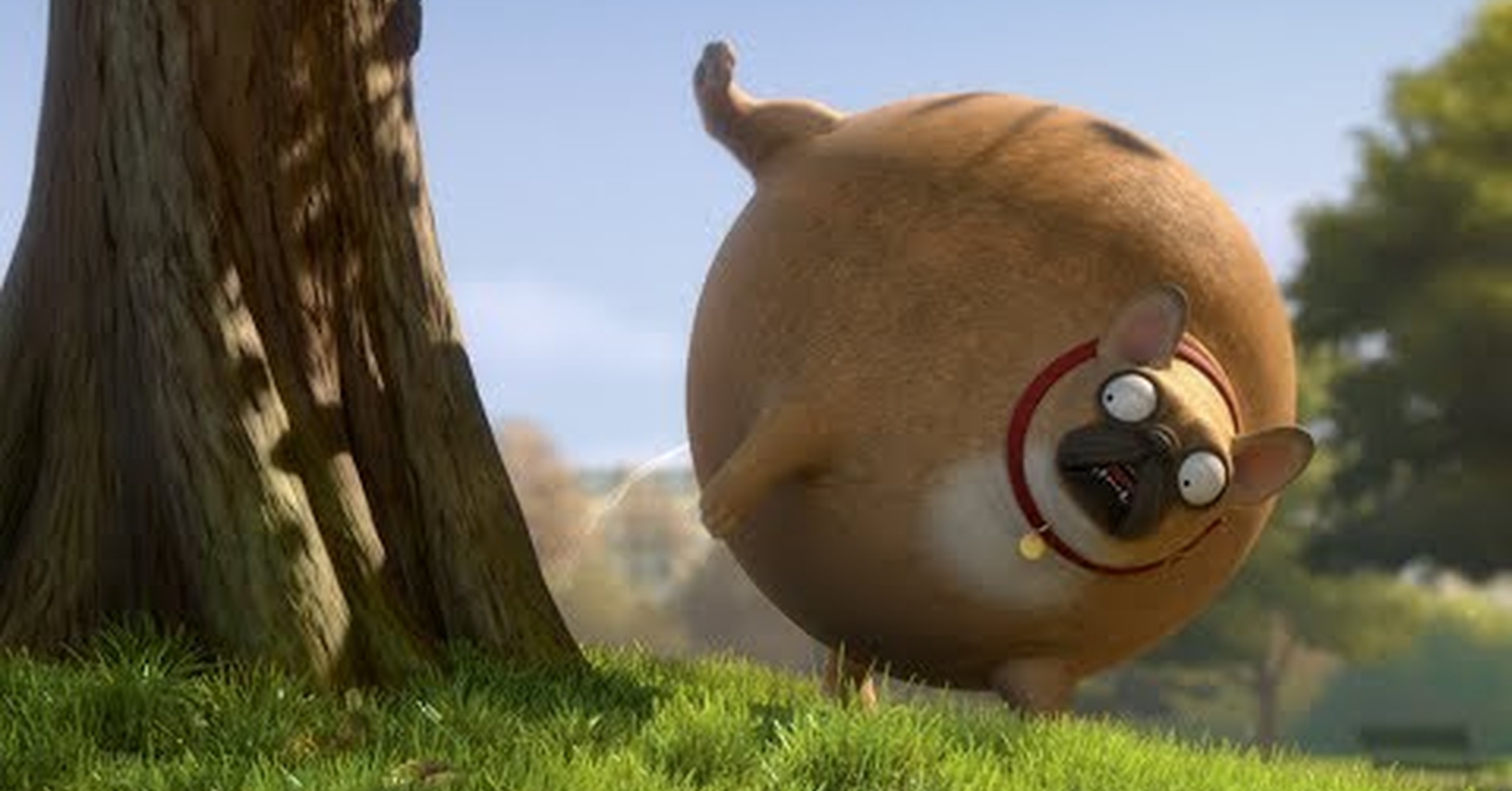 Про круглых животных. Толстые животные. Шарообразные животные. Круглое сафари - rollin-safari. Круглые животные.