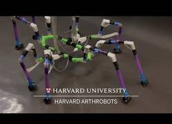 Enlace a Robots fabricados a partir de pajitas