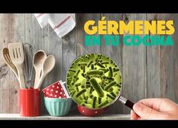 Enlace a Toma nota de esto, los objetos de cocina que pueden estar plagados de gérmenes
