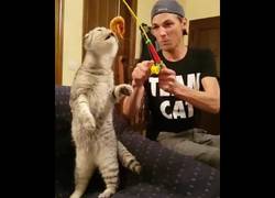 Enlace a Este gato estaba tan tranquilo durmiendo hasta que llegó su momento de caza