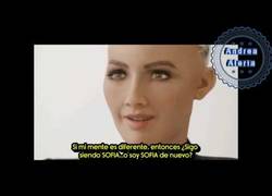 Enlace a Sofia, el robot con inteligencia artificial más avanzado del Mundo