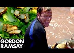 Enlace a Gordon Ramsay se pesca su propio pescado con sus manos para luego cocinarlo