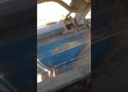 Enlace a Este tío se lo pasa en grande en su trabajo y disfruta como nadie