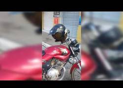 Enlace a Un motorista se va a hacer unos recados y cuando vuelve se encuentra algo increíble en el casco