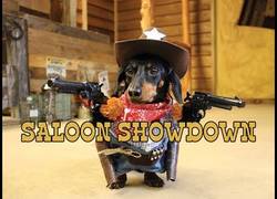 Enlace a Uno de los perros más duros que han pisado un Saloon del Oeste