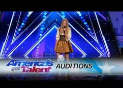 Enlace a Hero, el perro que sorprendió al jurado de America's Got Talent 2017