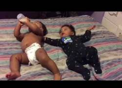 Enlace a Dos bebés y un biberón