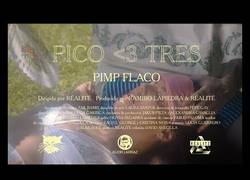 Enlace a Pimp Flaco se rodea de mujeres ligeras de ropa en su último videoclip