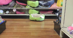 Enlace a Aparece un UFO en plena tienda de animales