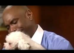 Enlace a Jueza decide quién es el dueño de este perro dejándolo entrar en la sala para ver a quién se dirige