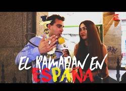 Enlace a Esto es lo que 