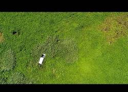 Enlace a Siete años después de la tragedia, ahora Fukushima esta invadida por la naturaleza