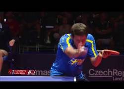 Enlace a Cuando te toca competir contra un crío y encima te apaliza delante de todos...