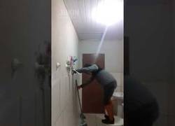 Enlace a Se le cuela una rata en el baño mientras está con el gato dentro y es un drama sacarla