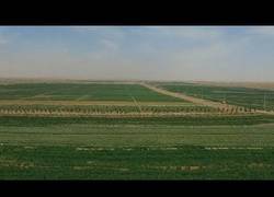 Enlace a China desarrolla una tecnología para reforestar desiertos