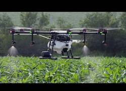 Enlace a Primero replantando desiertos, ahora fumigando con drones, estos Chinos...