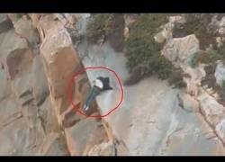 Enlace a Candidatos al Premio Darwin 2017