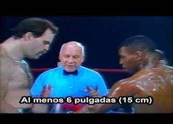 Enlace a Así luchaba Mike Tyson con 19 años