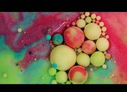 Enlace a Los increíbles efectos visuales que logras mezclando pintura acrílica con leche, jabón y aceite