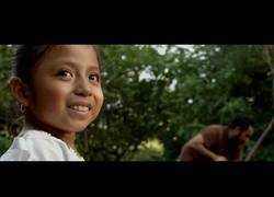 Enlace a EL PIB una comida para los que ya no están con nosotros