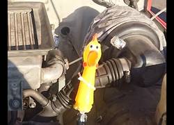 Enlace a Que mejor válvula de descarga poner a una gallina