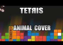 Enlace a Nuestros animales favoritos nos hacen un gran cover de Tetris