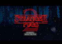 Enlace a 'Stranger Pugs 2' protagonizado por los perritos más adorables