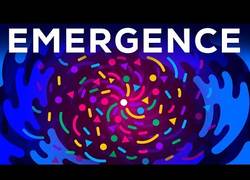 Enlace a ¿Cómo un pequeño grupo de seres pueden hacer cosas fascinantes?