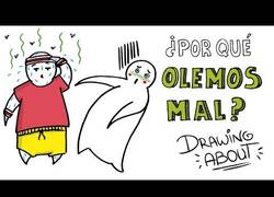 Enlace a ¿Por qué olemos mal?