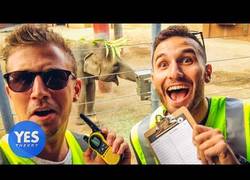 Enlace a El gran poder que te da llevar un chaleco