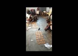 Enlace a Un día cualquiera en esta empresa de comida en la India