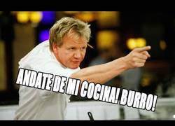 Enlace a Los enfados más locos de Gordon Ramsay