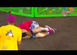 Enlace a Confirmado: El hombre es el único animal que tropieza dos veces