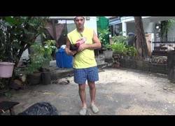 Enlace a Frank nos enseña a 