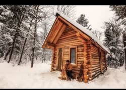 Enlace a Este tío graba como se construye de cero una casa de madera en mitad del bosque