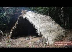 Enlace a Nuestro primitivo favorito se construye una cabaña conforma de A