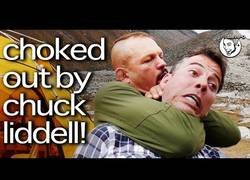 Enlace a Steve-O pide a Chuck Liddel que le deje inconsciente