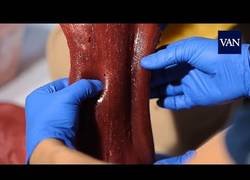 Enlace a Crean órganos casi reales imprimidos en 3D