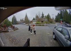 Enlace a Ve una caja de Amazon en una casa y la roba y termina siendo pillada