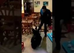 Enlace a Graban como un Guardia Urbano de Lleida le pega a un hombre tirado en el suelo en un bar