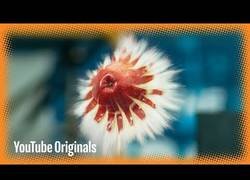 Enlace a Así se ve en slow motion el terrible impacto de una fruta contra otra
