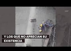 Enlace a La seguridad laboral es de pringados