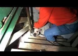 Enlace a Estaba haciendo la mudanza a su nueva casa y encontró esto en el sótano