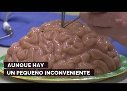 Enlace a Congela tu cerebro para que viva una eternidad