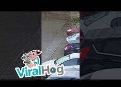 Enlace a Este tío ha encontrado la mejor forma de descongelar la luna delantera del hielo mañanero