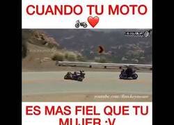 Enlace a Esta moto está bien feliz con su dueño