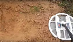 Enlace a Estaba buscando con un detector de metales y encontró una gran pieza de oro