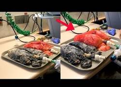 Enlace a Ponen a prueba unos pulmones de fumador frente a unos pulmones totalmente sanos