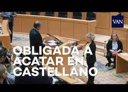 Enlace a España, siglo XXI. Obligada a acatar la Constitución en castellano