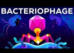 Enlace a Virus para matar bacterias